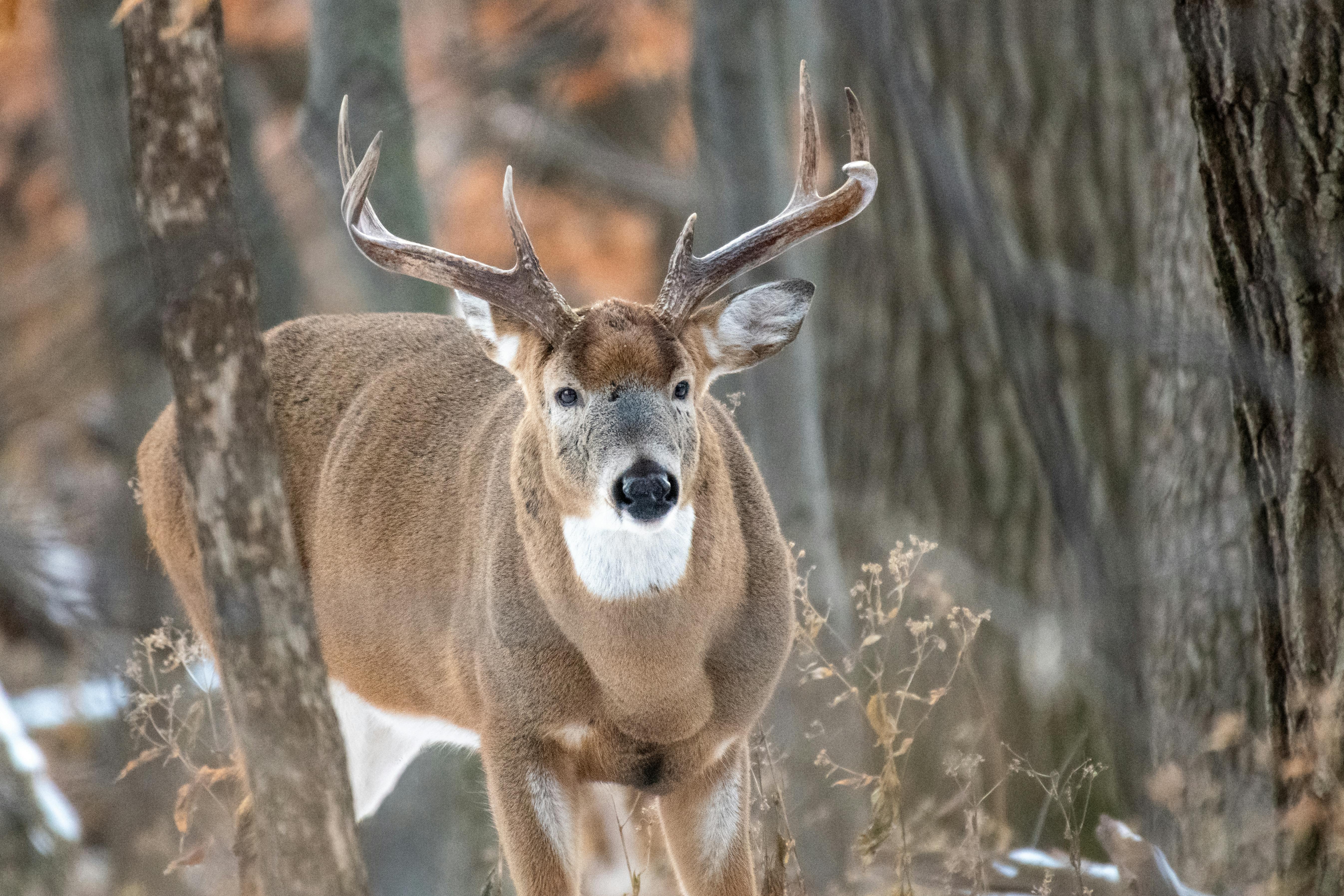 Andrew Patrick Photo.jpg